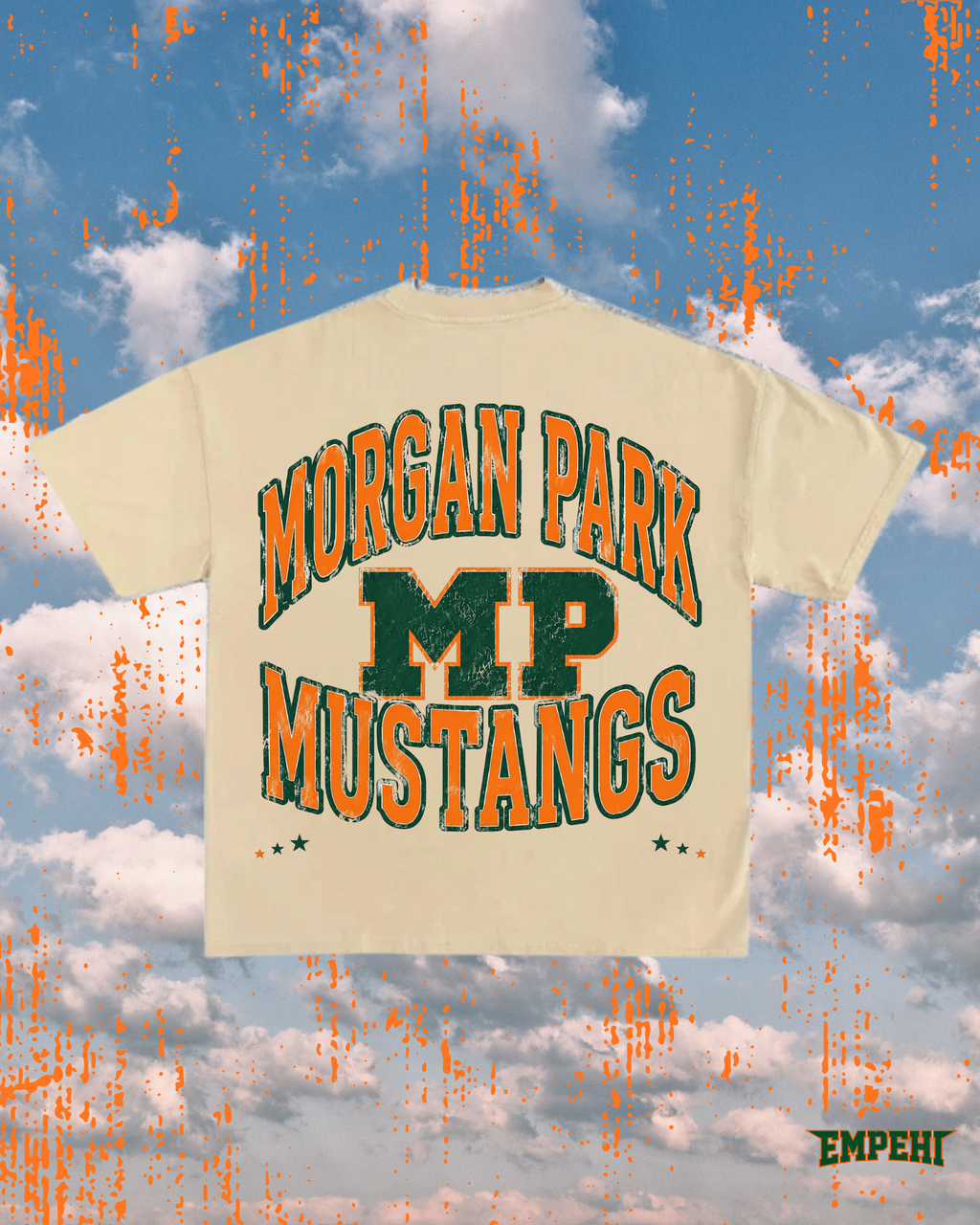 GO MUSTANGS !!! PICK UP ONLY