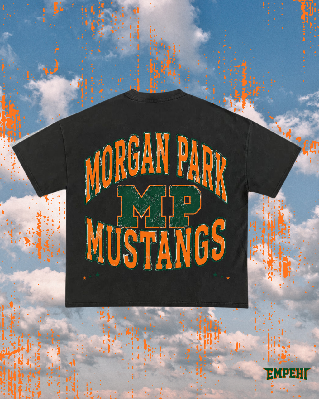 GO MUSTANGS !!! PICK UP ONLY